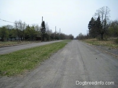 Empty Streets of Centralia PA - Railroad Street