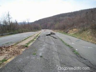 View looking down Highway 61 - A damaged road in Centralia PA