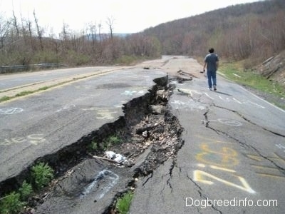 A person walking alonside the huge crack in highway 61