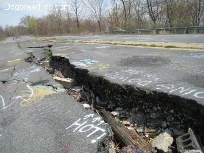 The Items inside of the Highway 61 Crack