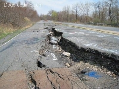 Highway 61 - The road is severely damaged