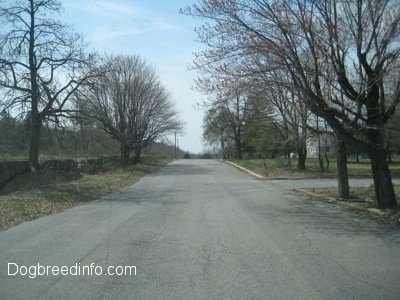 The Empty streets of Centralia