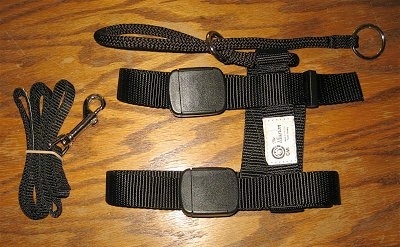 Top down view of an Illusion Dog Training Collar