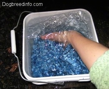 A Bucket is filled with blue gravel. A hand is in the bucket moving the gravel