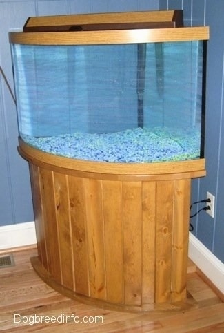 A finished aquarium with no fish