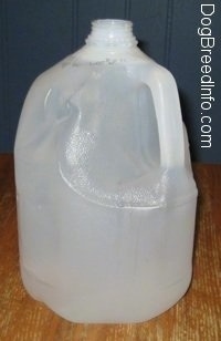 A plastic gallon jug of water is on a table top