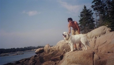 A Great Pyrenees is standing on a large bolder type rock on the side of a body of water with a person behind it.