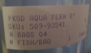 A label on the Trichomanes Javanicum package. The Label reads - PKGD AQUA FERN 8'' SKU: 509-93541 # BAGS 04 #FISH/BAG 1