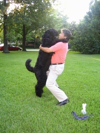 Boris the Black Russian Terrier hugging his owner