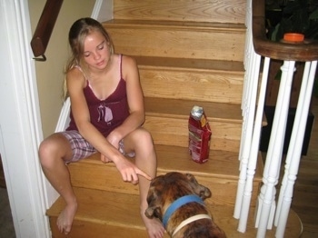 Amie giving Bruno Peanut Butter while sitting on the staircase