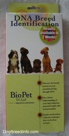 Dog breed Identification Kit box