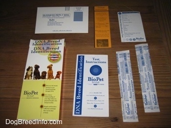 Contents of a Dog Breed Identification DNA test kit
