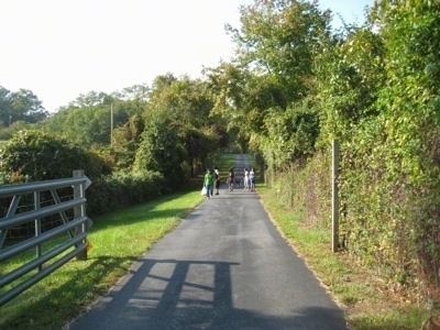 A group of people with a dog is walking down a long driveway.