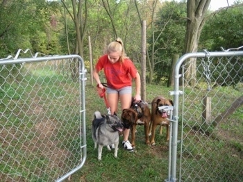 A blonde-haired girl is holding back three dogs from walking through an open gate.