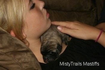 Puppy laying on a girls neck