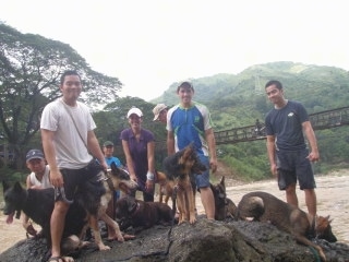 Six People and Six Dogs are standing on a rock. There is a body of water behind them along with a wooden bridge.