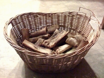 Basket of Bones