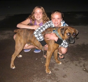 Bruno the Boxer being hugged by Amie and Sara for a picture