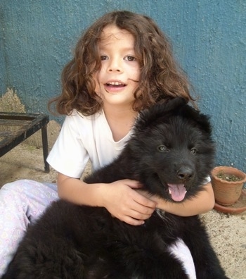A black with a tuft of white German Shepherd puppy is laying in he lap and being hugged by a child who is smiling.