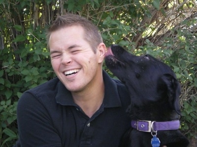 A black Labrador Retriever is wearing a purple collar sitting and licking the ear of a man in a blue shirt who is laughing. There is a green bush behind them.