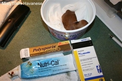 'Polysporin','Clavamax', 'Nutri-Cal' - Preemie Puppy in a can with those medicine supplies around it