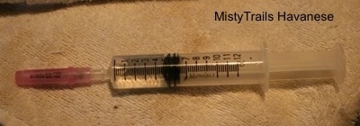 Syringe filled with warm water