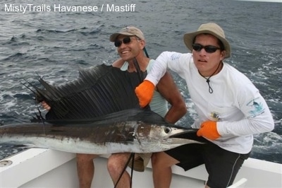 Two men are sitting on the edges of a boat and they are pulling on a fish with a large fin and long skinny mouth (sailfish). The fish is huge, as large as the humans.