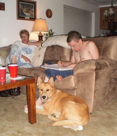 Two people are sitting on a tan couch and a tan Shollie dog is laying on the floor in front of them looking forward. A lady is watching TV and a young man is drawling in a large note pad of paper.