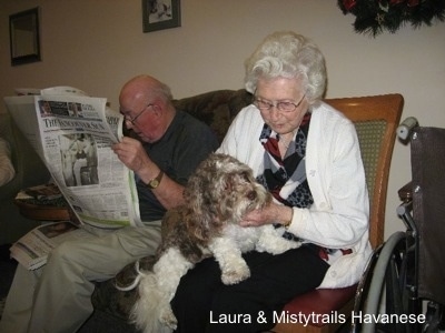 A man is sitting in a chair and reading a newspaper and to the right of him is a lady in a chair with a gray and white dog in her lap. The lady is rubbing the dogs chin.