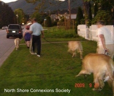 Three people are walking the Three Mastiffs back to the car at the end of the night