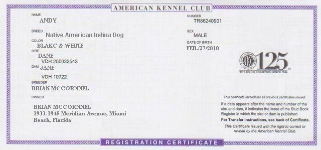 An Example of a fake AKC Registration document