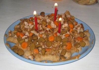 A Dog Food Cake on a plate with three candles