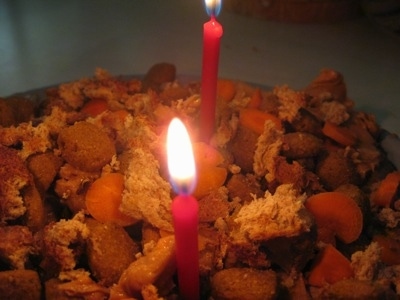 Close Up - Candles on top of the dog food cake