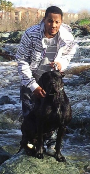 Remy Martin the Cane Corso is standing on a rock in the rapids with a person behind it. There is water rushing off of all the rocks