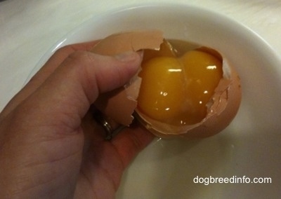 A person is holding a Cracked Egg with Two Yolks on there hand.