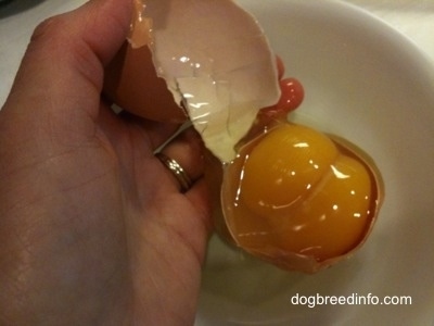Two yolks inside of a cracked egg