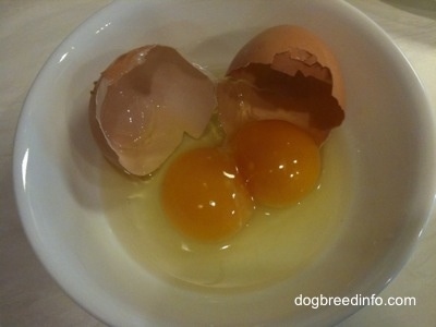 Egg cracked with two yolks and a shell in a bowl
