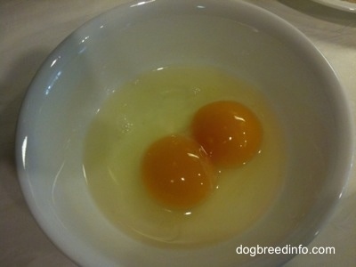 Two Yolks from one egg in a bowl