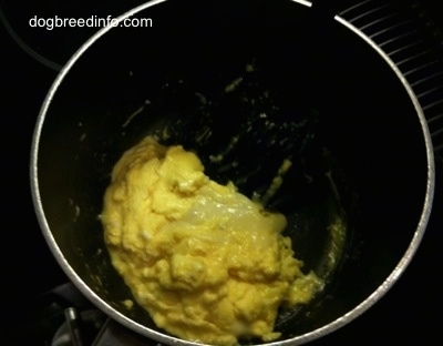 Scrambled eggs cooked in a pan
