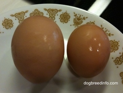 Two Chicken Eggs in a bowl