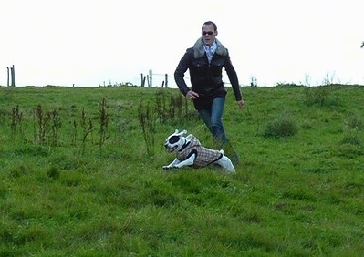 Sita the French Bulloxer is wearing a brown plaid hooded jacket while running across a field with a person running along side him