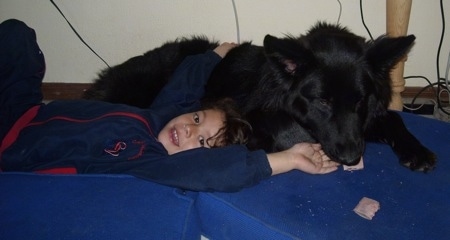 A black German Shepherd is laying above a little girl who is laying on blue pillows on the floor on her back. The girl is reaching up to pet the dog and smiling as the dog chews on a bone.
