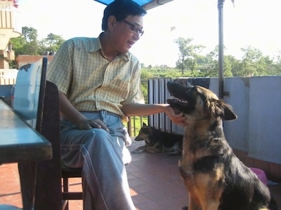 A black and tan German Shepherd is sitting outside on a red tiled floor on a porch and there is a man in a chair petting under the dogs chin. There is a second dog laying down in the background.