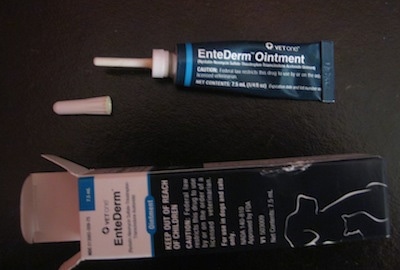 A tube of 'EnteDerm Ointment' opened up on a table