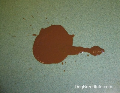 A splatter of brown diarrhea on a green floor.