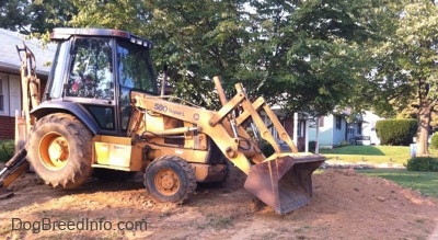 A yellow backhoe is on a mound of dirt in the front yard of a home.