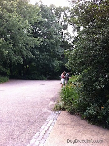 Two people are standing in a road and they are looking at grass and trees.