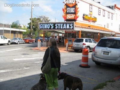 A lady in green pants is leading two dogs on a walk to Geno's Steaks in Philadelphia. They are about to cross the street.