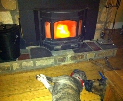 A blue-nose brindle Pit Bull Terrier and a brown brindle Boxer are laying on there sides in front of a fireplace.