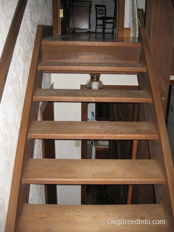 A wooden staircase that leads to a second floor of a home.